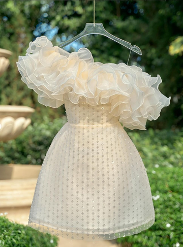 Champagne A Line Off the Shoulder Tulle Short Homecoming Dress Evening Dress HZ1023